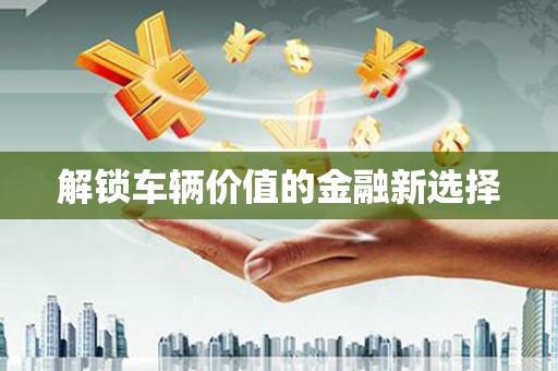 隆回解锁车辆价值的金融新选择