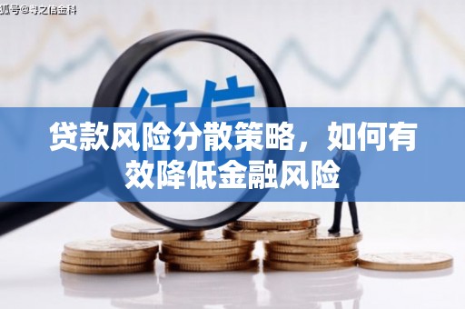 隆回贷款风险分散策略，如何有效降低金融风险
