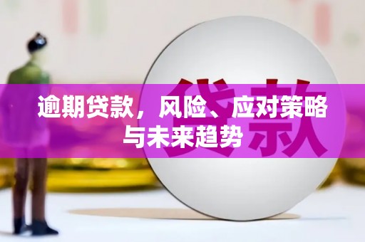 隆回逾期贷款，风险、应对策略与未来趋势