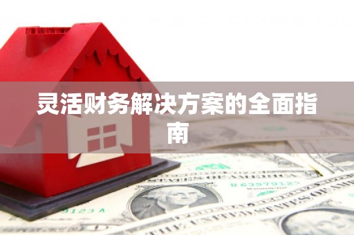 隆回灵活财务解决方案的全面指南