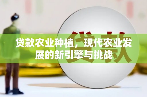 隆回贷款农业种植，现代农业发展的新引擎与挑战
