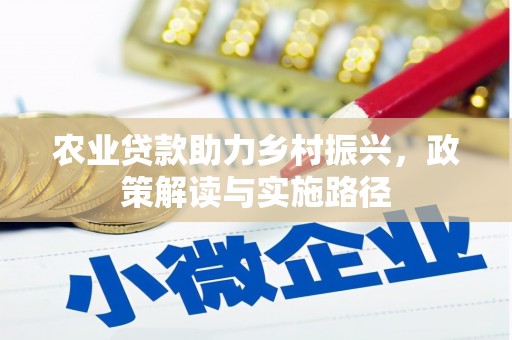 隆回农业贷款助力乡村振兴，政策解读与实施路径