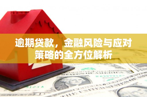 隆回逾期贷款，金融风险与应对策略的全方位解析