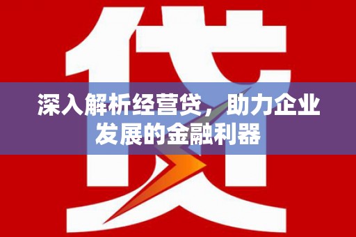 隆回深入解析经营贷，助力企业发展的金融利器