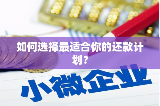 隆回如何选择最适合你的还款计划？