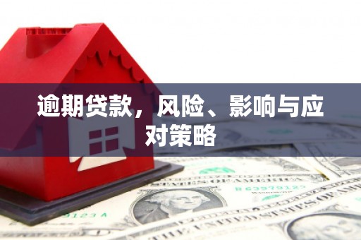 隆回逾期贷款，风险、影响与应对策略