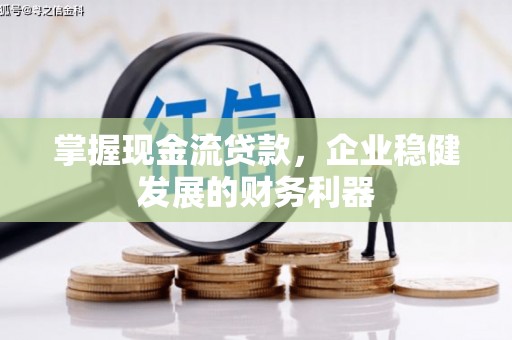 隆回掌握现金流贷款，企业稳健发展的财务利器