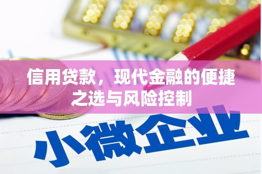 隆回信用贷款，现代金融的便捷之选与风险控制
