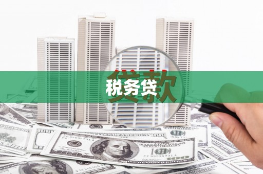 隆回税务贷
