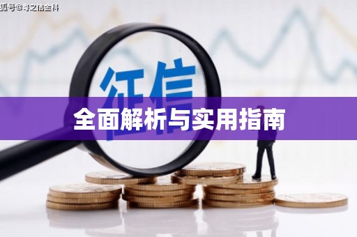 隆回全面解析与实用指南