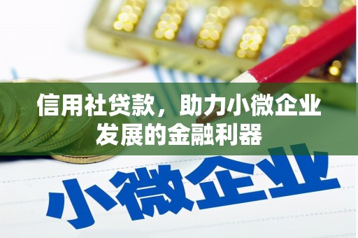 隆回信用社贷款，助力小微企业发展的金融利器