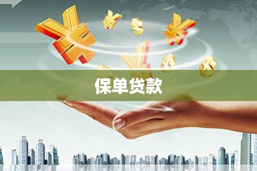 隆回保单贷款