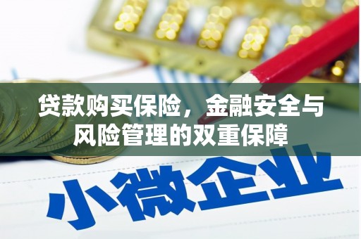 隆回贷款购买保险，金融安全与风险管理的双重保障