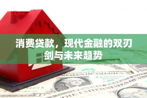 隆回消费贷款，现代金融的双刃剑与未来趋势