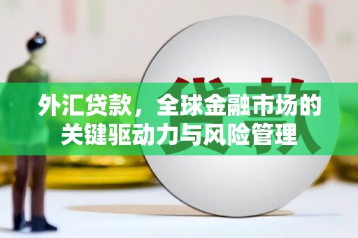 隆回外汇贷款，全球金融市场的关键驱动力与风险管理
