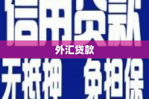 隆回外汇贷款