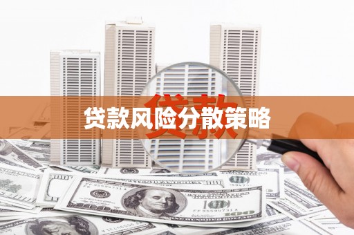 隆回贷款风险分散策略