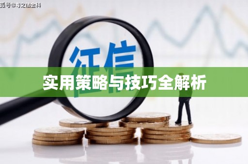 隆回实用策略与技巧全解析