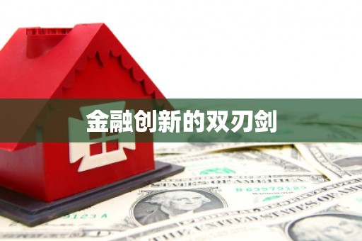 隆回金融创新的双刃剑