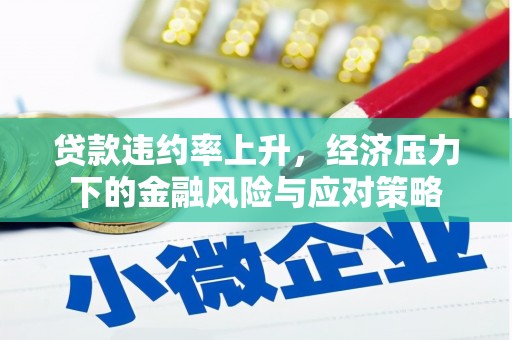 隆回贷款违约率上升，经济压力下的金融风险与应对策略