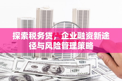 隆回探索税务贷，企业融资新途径与风险管理策略