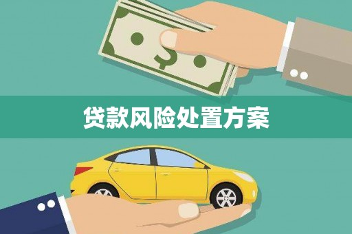 隆回贷款风险处置方案