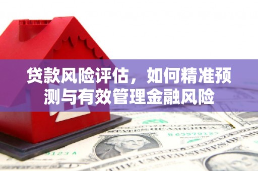隆回贷款风险评估，如何精准预测与有效管理金融风险