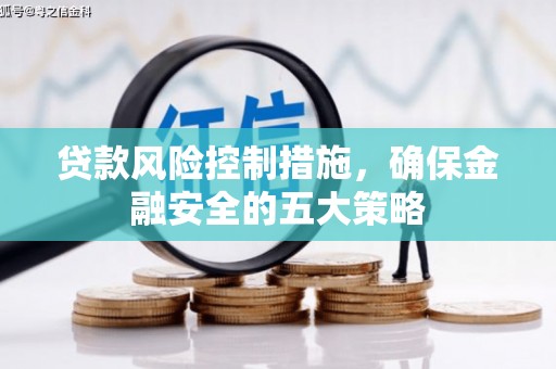 隆回贷款风险控制措施，确保金融安全的五大策略