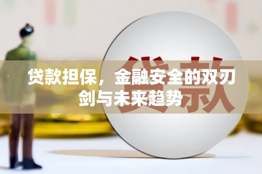 隆回贷款担保，金融安全的双刃剑与未来趋势