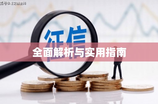 隆回全面解析与实用指南