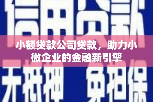 隆回小额贷款公司贷款，助力小微企业的金融新引擎