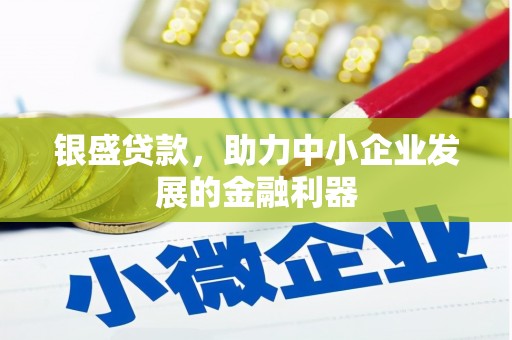 隆回银盛贷款，助力中小企业发展的金融利器
