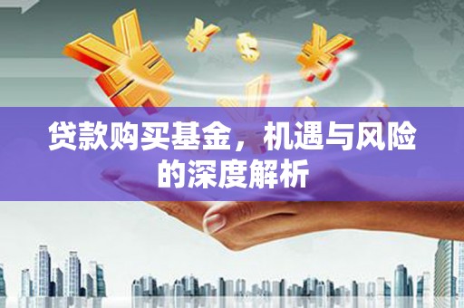 隆回贷款购买基金，机遇与风险的深度解析