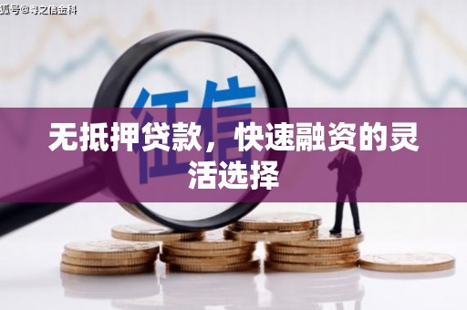 隆回无抵押贷款，快速融资的灵活选择