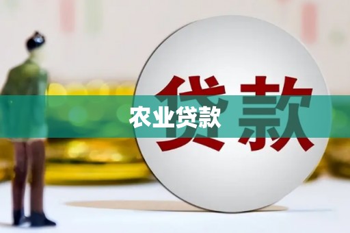 隆回农业贷款