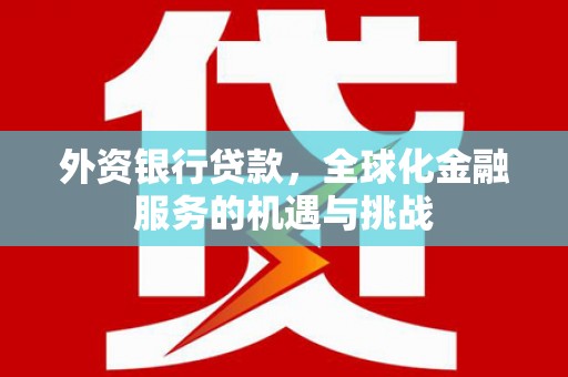 隆回外资银行贷款，全球化金融服务的机遇与挑战