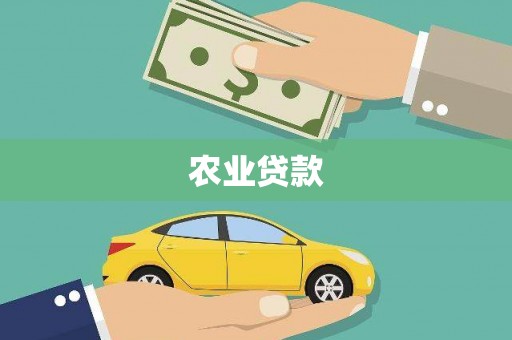 隆回农业贷款