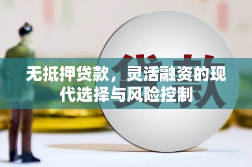 隆回无抵押贷款，灵活融资的现代选择与风险控制