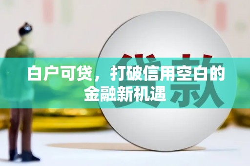 隆回白户可贷，打破信用空白的金融新机遇