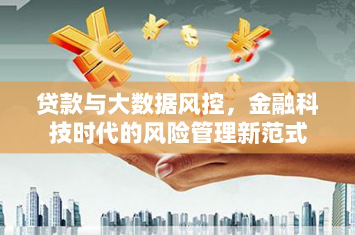 隆回贷款与大数据风控，金融科技时代的风险管理新范式