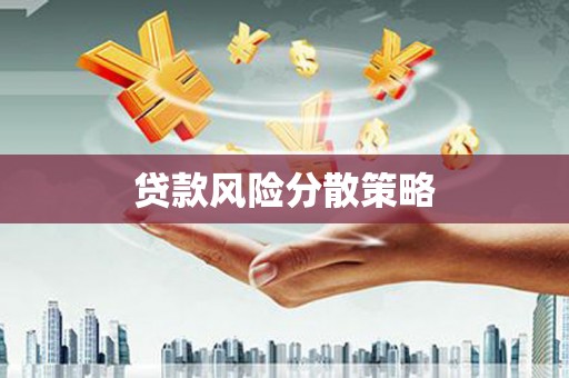 隆回贷款风险分散策略