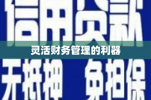 隆回灵活财务管理的利器