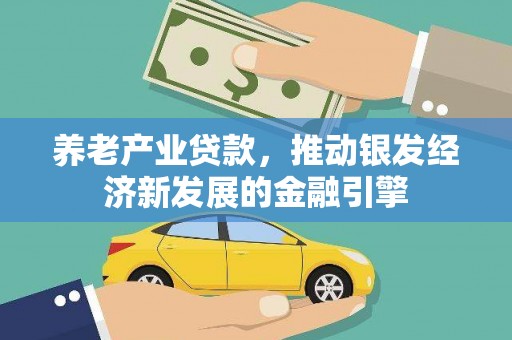 隆回养老产业贷款，推动银发经济新发展的金融引擎