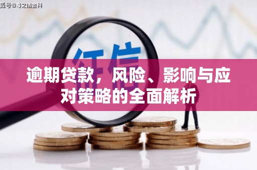 隆回逾期贷款，风险、影响与应对策略的全面解析