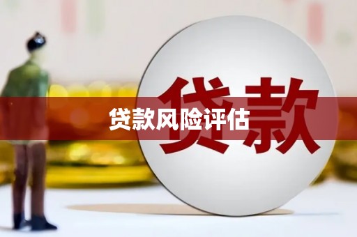 隆回贷款风险评估