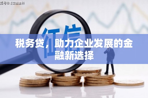 隆回税务贷，助力企业发展的金融新选择