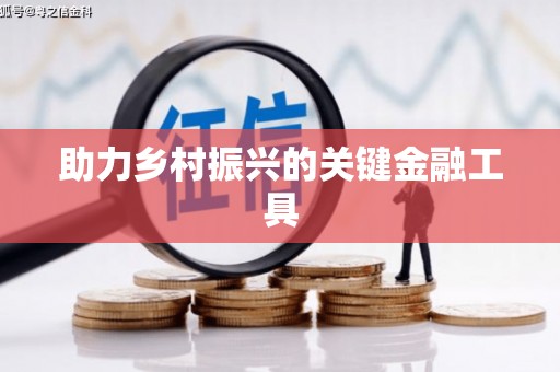 隆回助力乡村振兴的关键金融工具