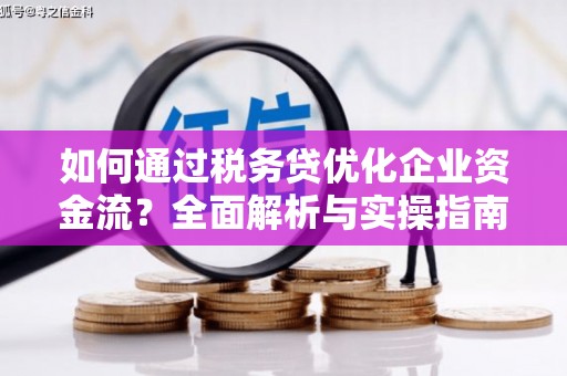 隆回如何通过税务贷优化企业资金流？全面解析与实操指南