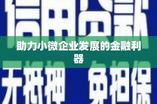 隆回助力小微企业发展的金融利器