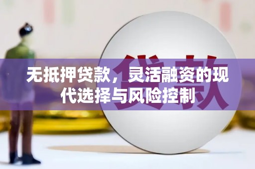 隆回无抵押贷款，灵活融资的现代选择与风险控制
